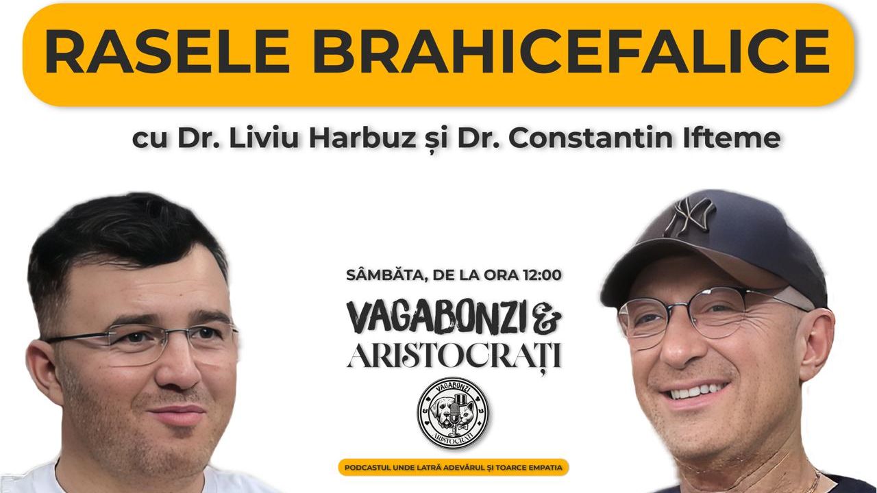 Brahicefalicii: Între aspectul „adorabil” și lupta pentru oxigen. Dialog între Dr. Liviu Harbuz și Dr. Constantin Ifteme