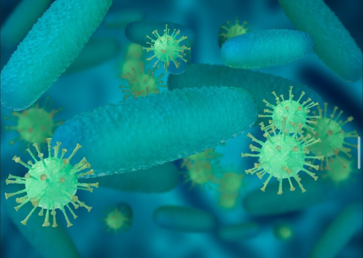 bacterie
