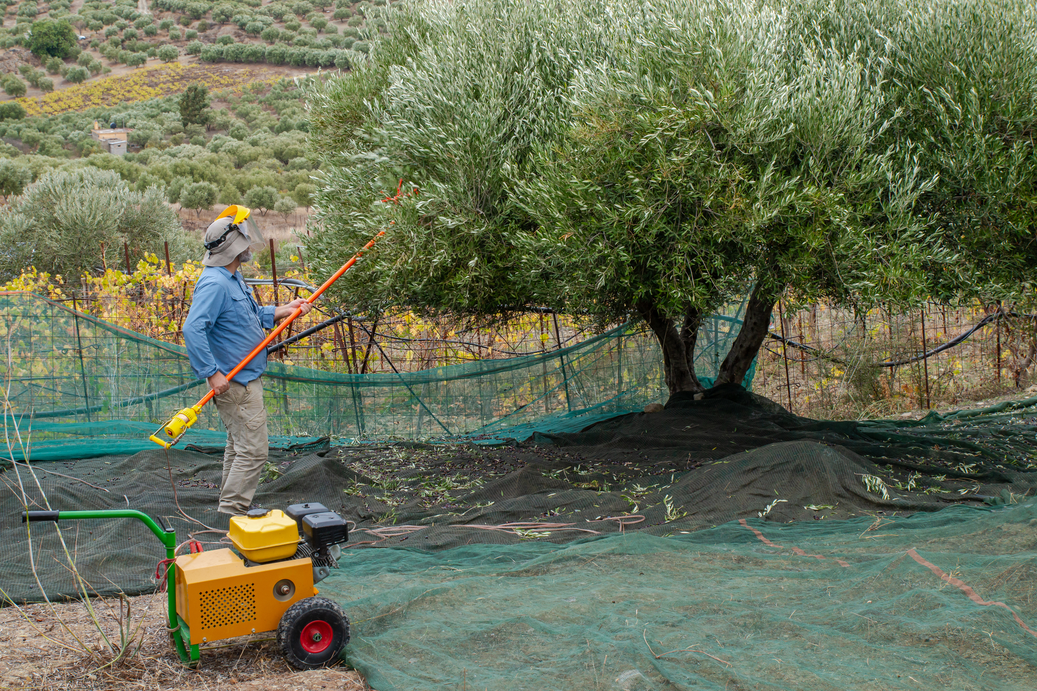 Grecia caută forță de muncă din Asia, dar înăsprește legea migrației