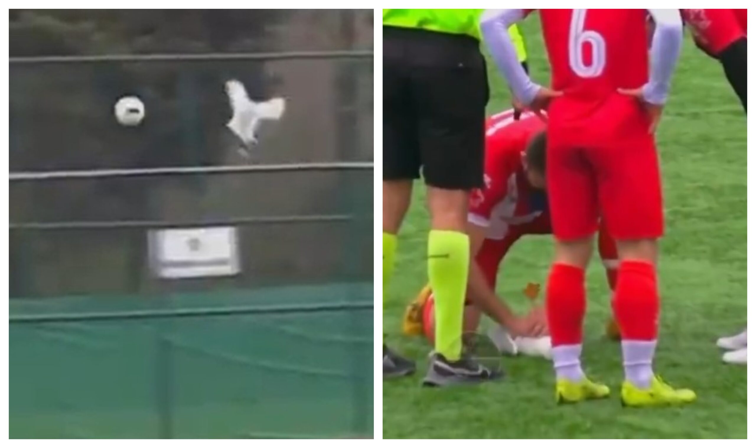 Un fotbalist a resuscitat în timpul partidei un pescăruș lovit de minge: A fost mai important decât promovarea