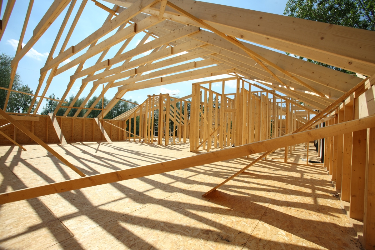 Sustenabilitatea, mai importantă ca oricând. Ne povestește despre viziunea Kronospan dr. arh. Biborka Bartha