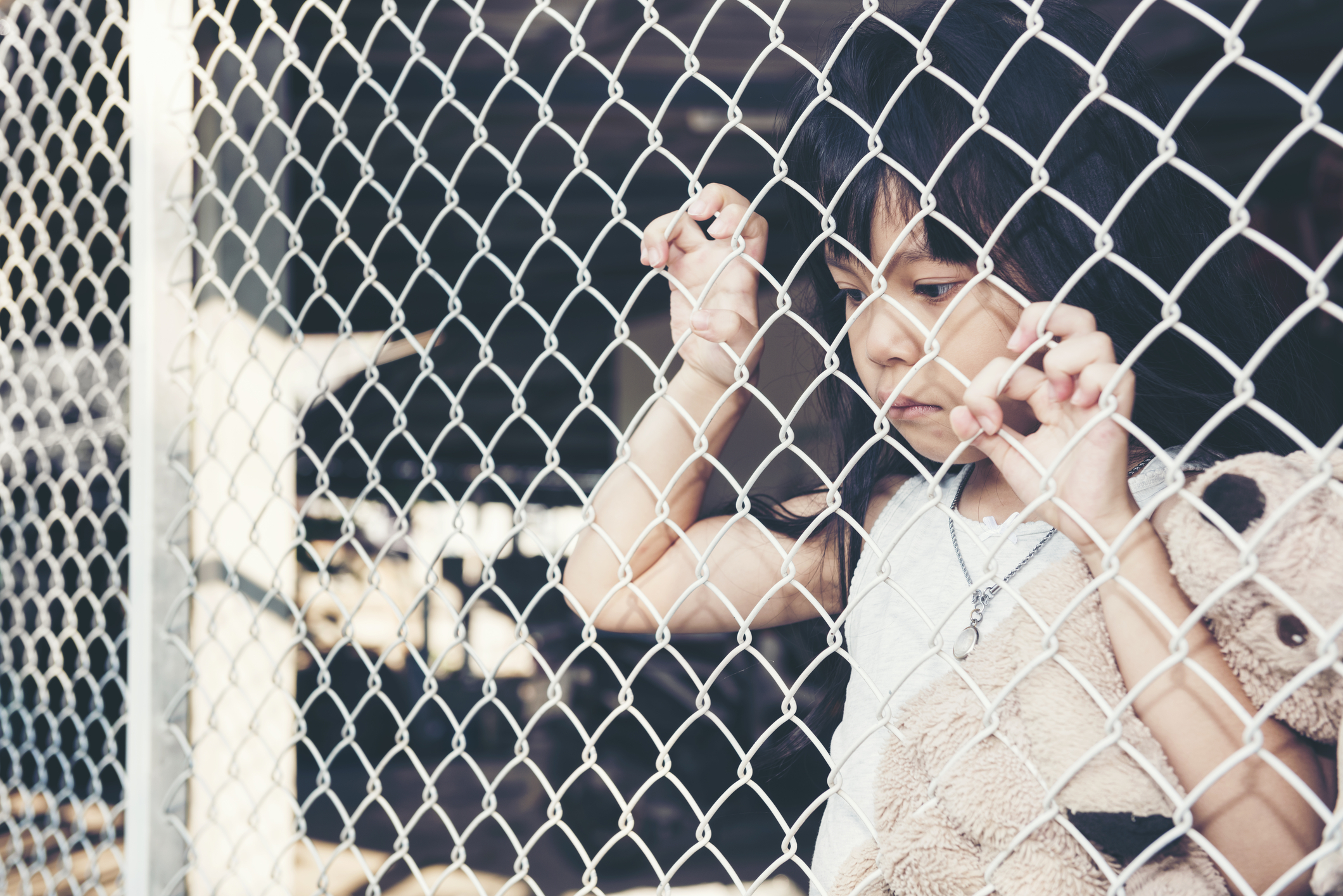 State care nu sunt democrații în practică. Tipuri de regimuri și exemple contemporane