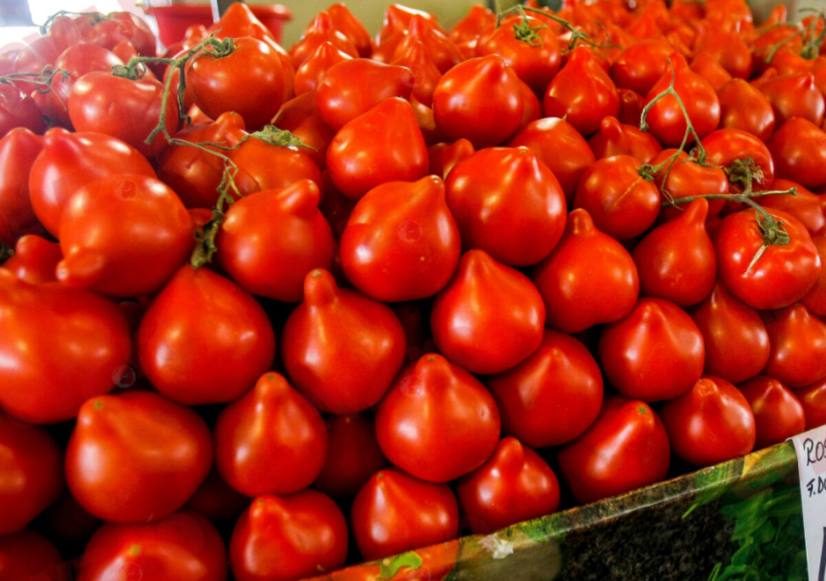 Primele roșii românești din 2026, vândute la prețuri record. Cât vor plăti românii pentru un kilogram de tomate