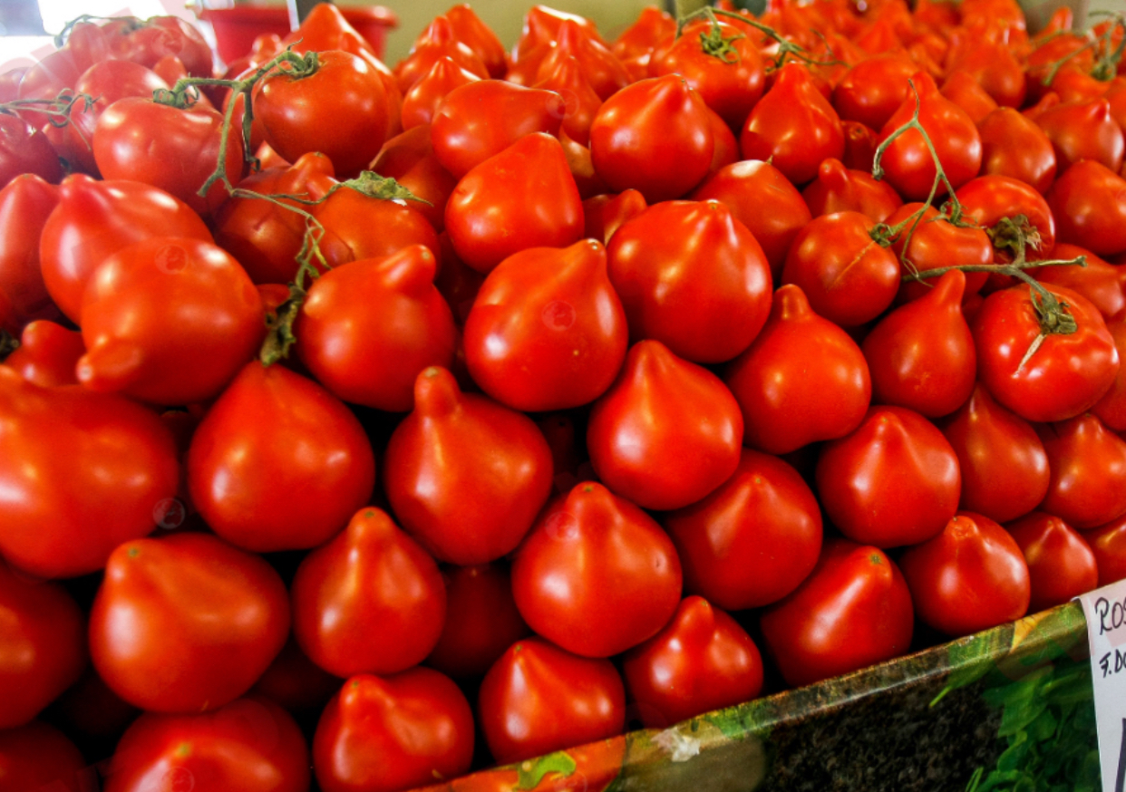 Primele roșii românești din 2026, vândute la prețuri record. Cât vor plăti românii pentru un kilogram de tomate