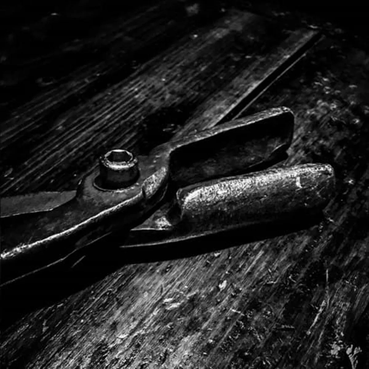 Cele mai înspăimântătoare metode de tortură din istoria umanității. Victimele aveau o soartă îngrozitoare