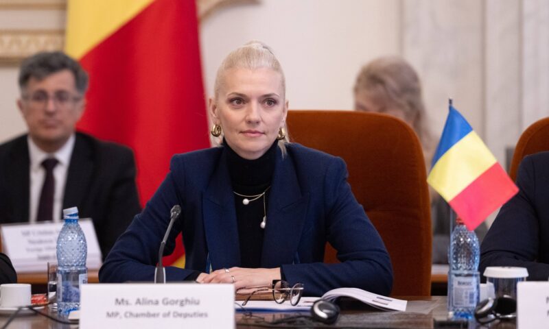 Stenograme din ședința PNL. Gorghiu avertizează că partidul „se rupe în două”, Petcu critică propunerile de miniștri