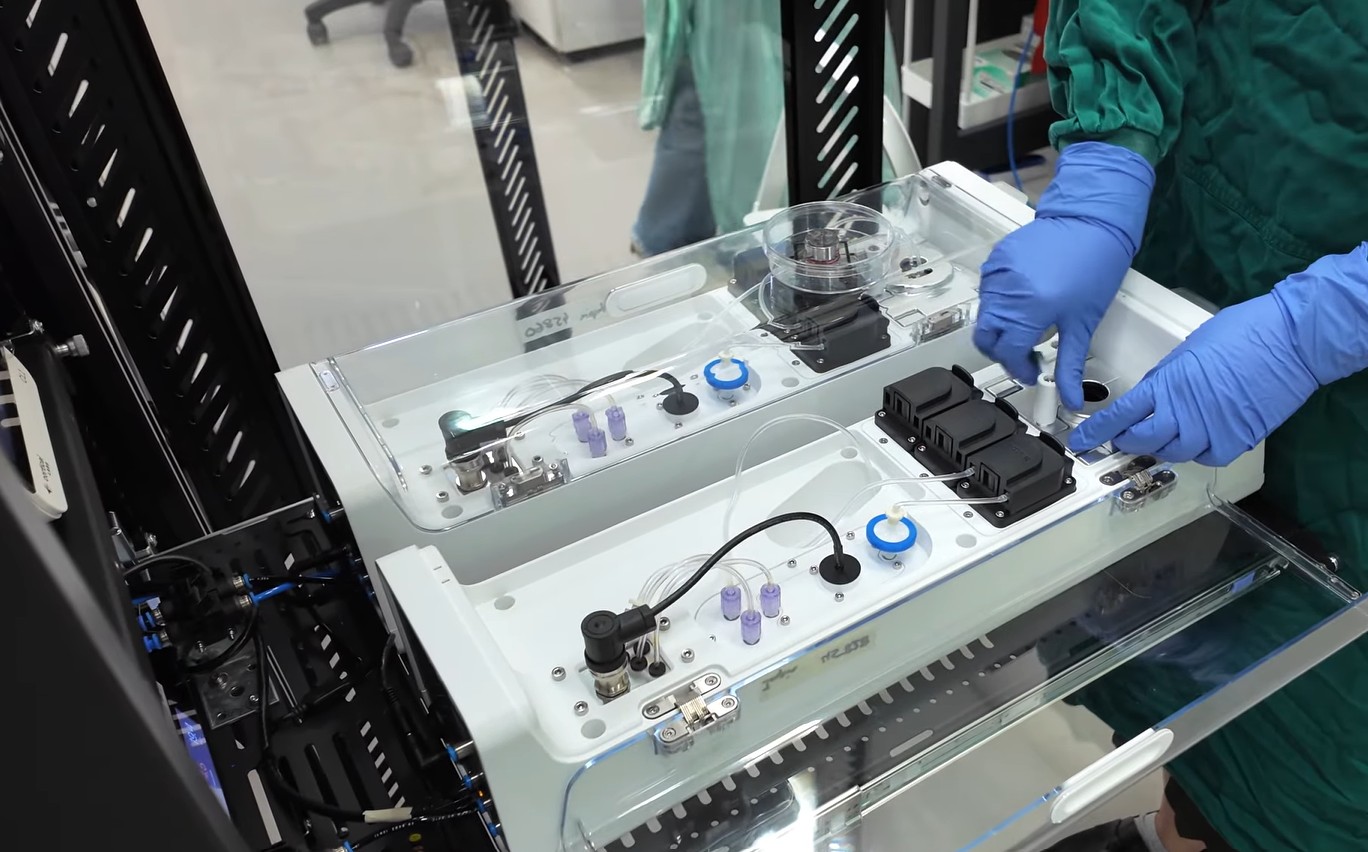 Celule cerebrale umane vii, antrenate să joace Doom. La ce concluzii au ajuns cercetătorii 