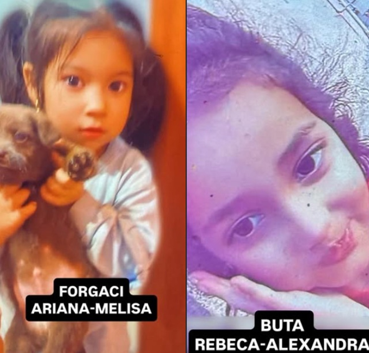 Fetițele din Târnăveni au fost găsite de un pădurar, în vârful unui izolat de deal. Bărbatul le-a purtat în brațe trei km