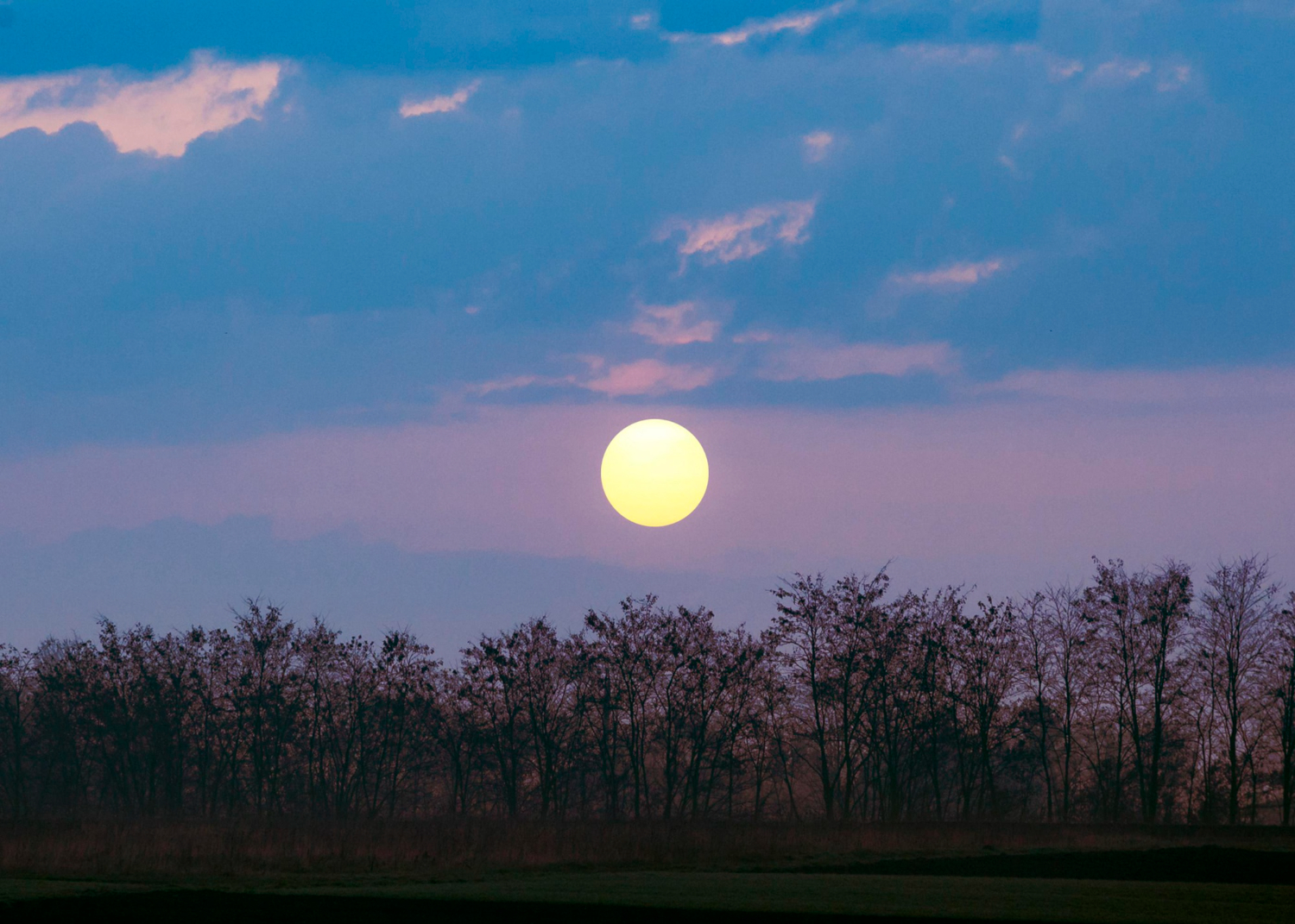 Echinocțiul de primăvară 2026. Când va începe să crească durata zilei