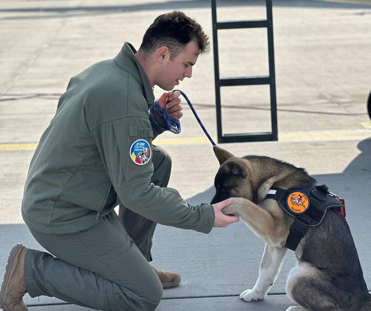 Un pilot militar de la Baza 86 Aeriană a murit încercând să salveze un câine dintr-un bazin. Avea doar 30 de ani