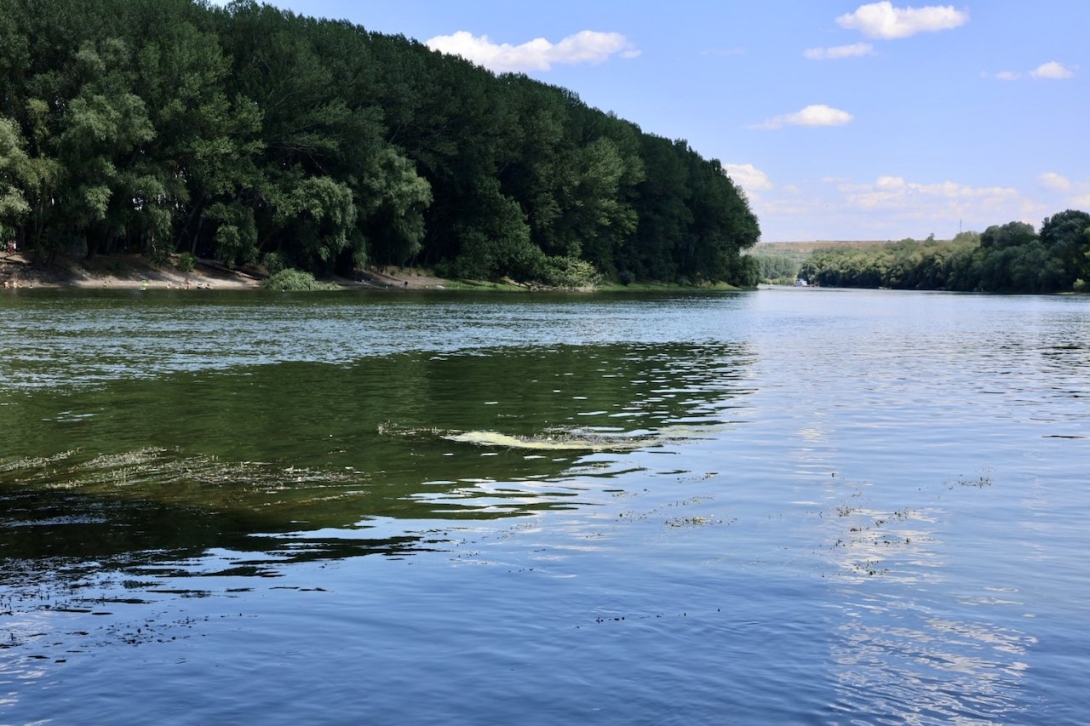 Pete de ulei pe Nistru. Republica Moldova cere explicații Ucrainei, unele localități riscă să rămână fără apă