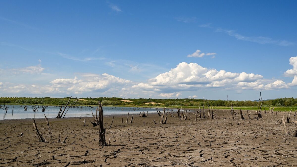 Secetă istorică în Europa: Dunărea și Rinul seacă, iar experții hidrologi avertizează că situația este „catastrofală”