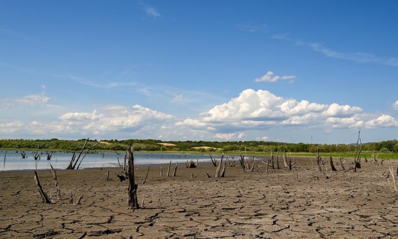 Secetă istorică în Europa: Dunărea și Rinul seacă, iar experții hidrologi avertizează că situația este „catastrofală”