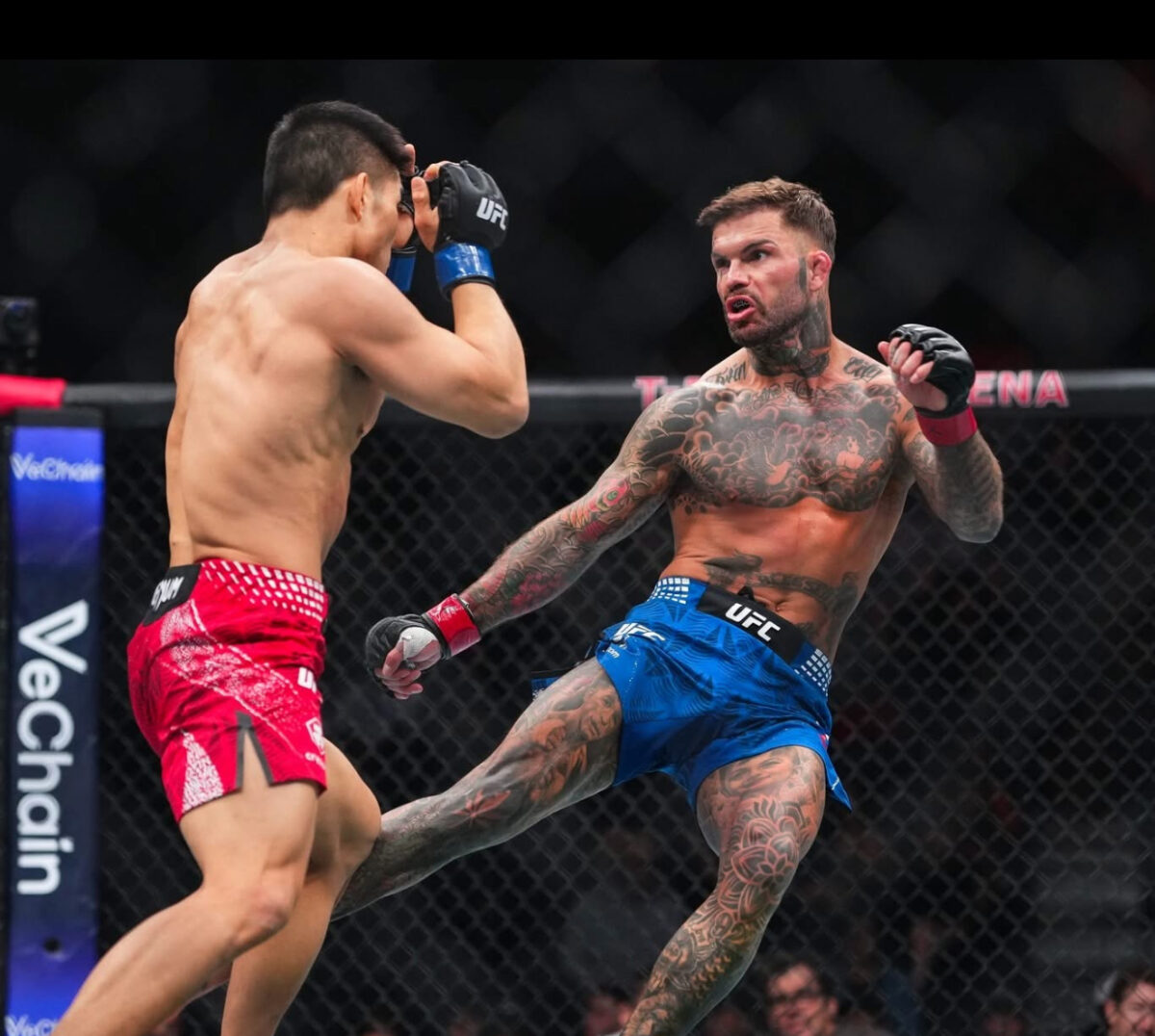 Agenții FBI intră „în ring” cu starurile UFC. Vor învăța noi tehnici de luptă