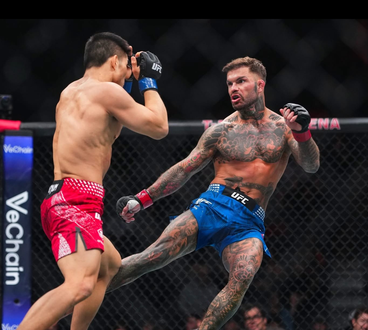 Agenții FBI intră „în ring” cu starurile UFC. Vor învăța noi tehnici de luptă