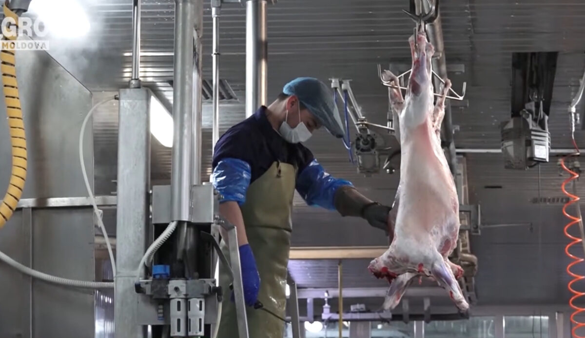 Românii, atenționați de ANSVSA înainte de Paști: Evitați carnea de miel provenită din sacrificări clandestine