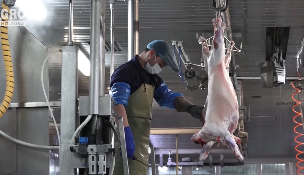 Românii, atenționați de ANSVSA înainte de Paști: Evitați carnea de miel provenită din sacrificări clandestine