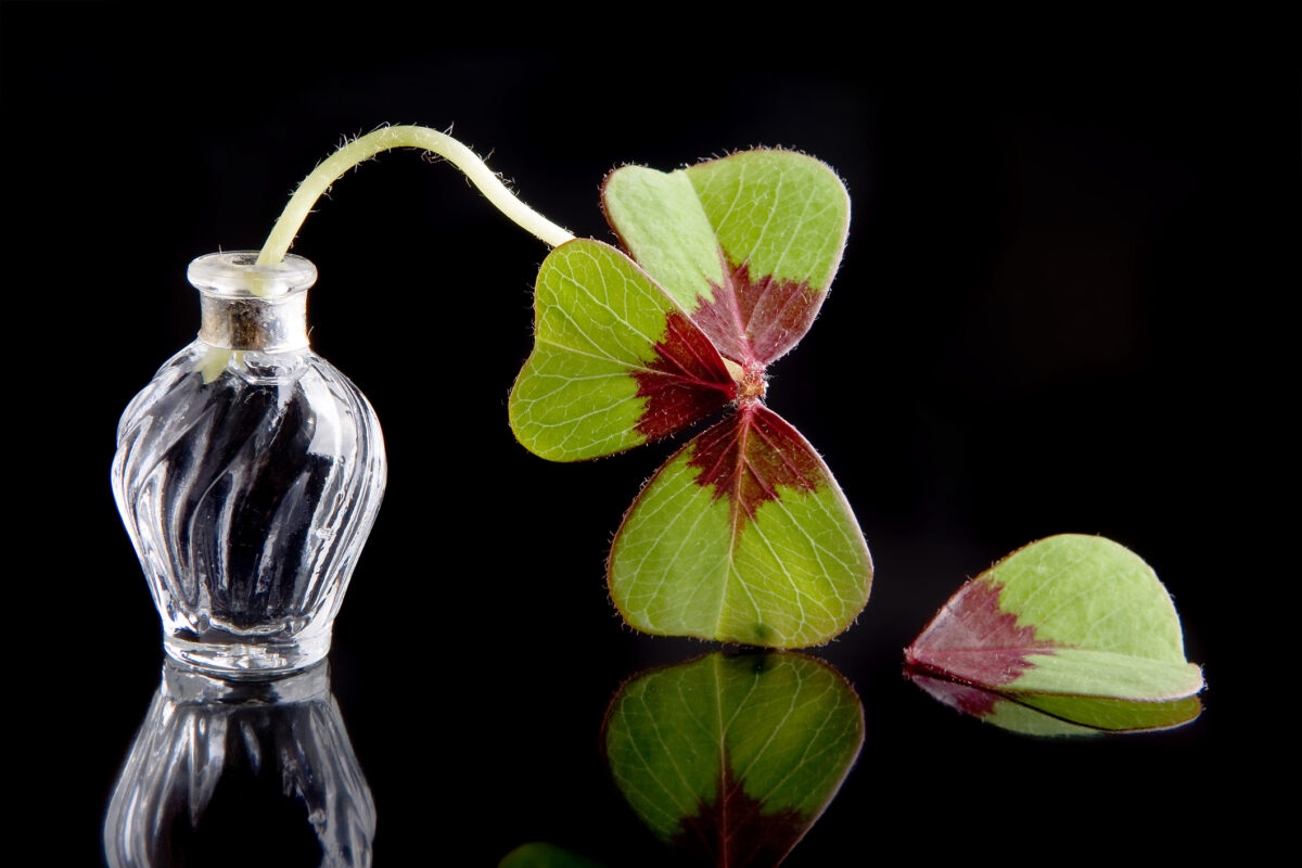 Patru zodii și o zi cu surprize neprogramate. Au parte de provocări în loc de noroc