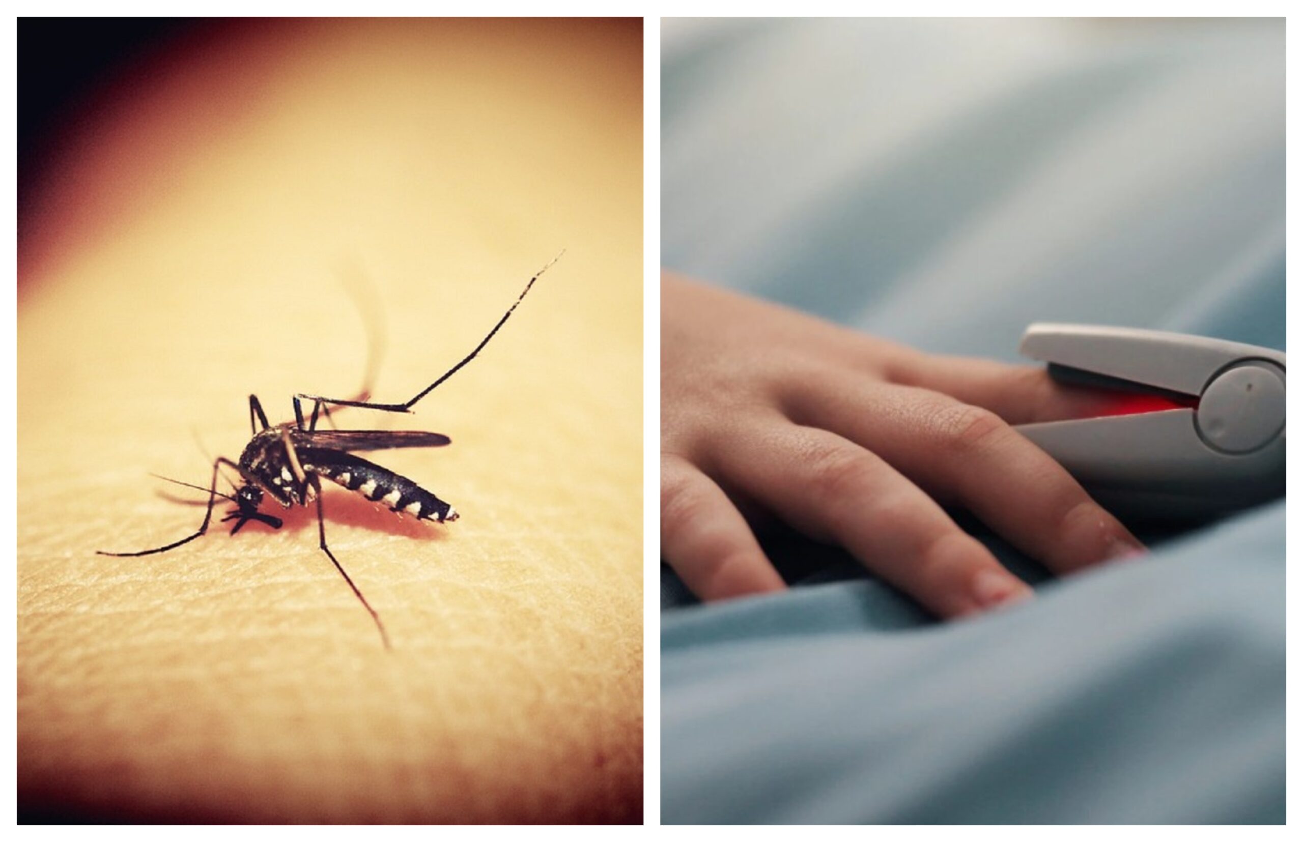 Cazuri de malarie în România. Cauze, simptome, prevenție și tratament