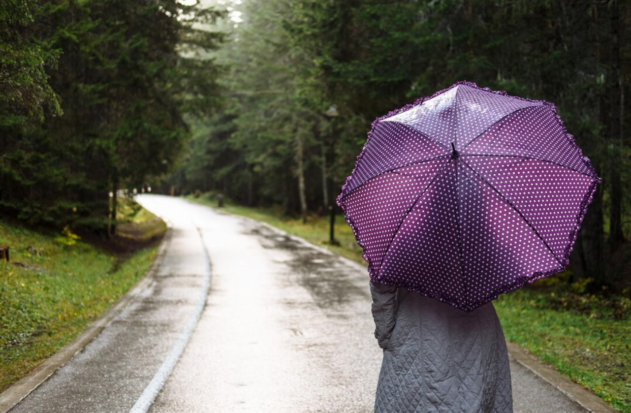 ploaie