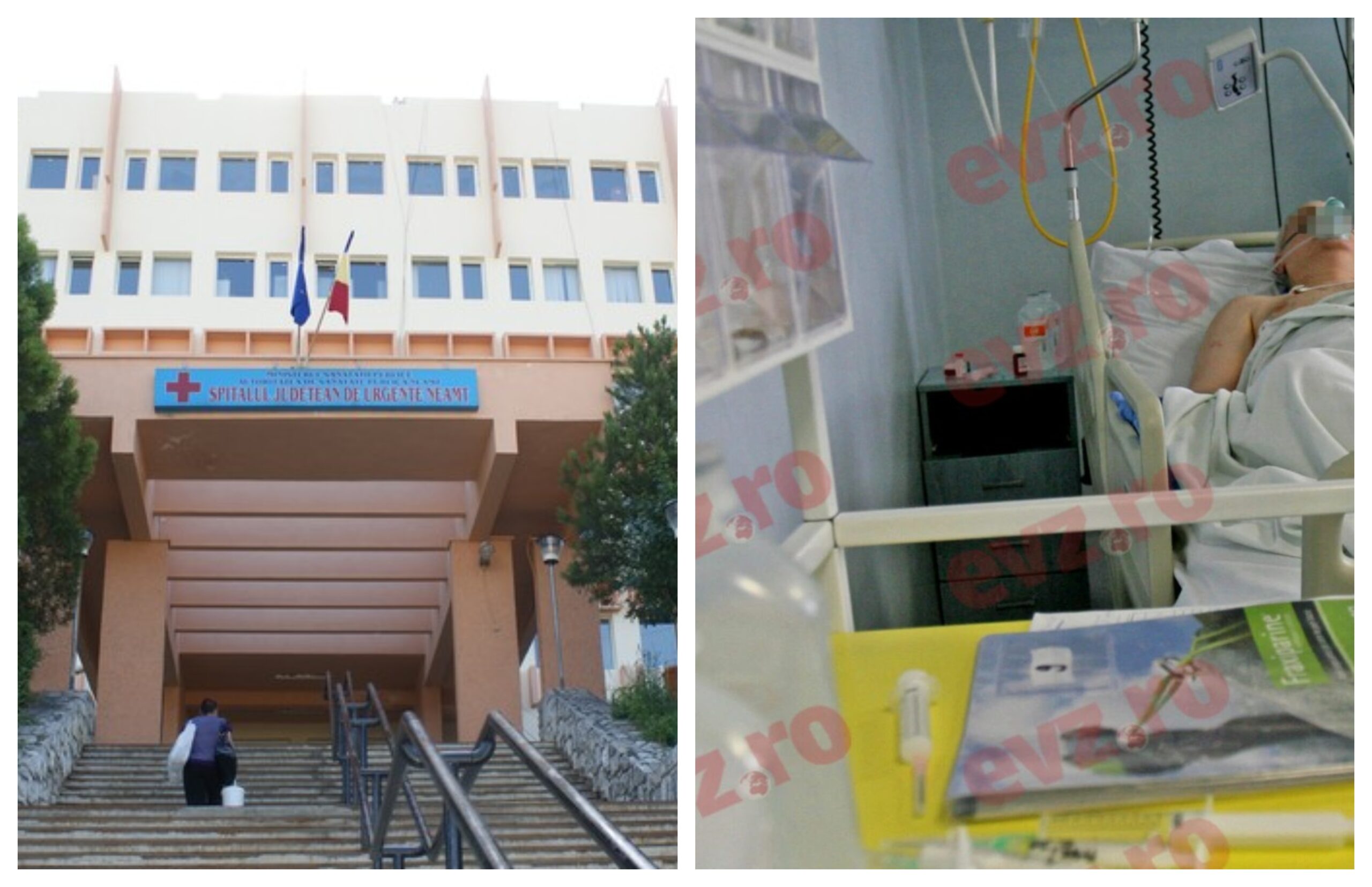 Ce este Acinetobacter baumannii, bacteria descoperită la Spitalul de Urgenţă Piatra-Neamţ. De ce este considerată periculoasă