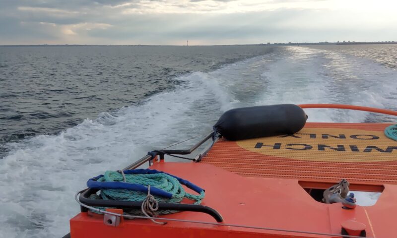 Doi marinari, căutați în zona Sulina după ce ar fi dispărut de la bordul unei nave