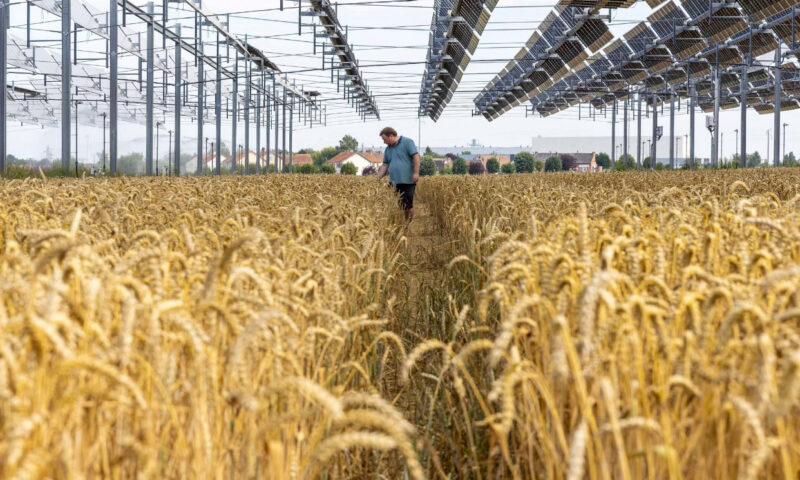 Acordul UE–Mercosur intră în vigoare după 25 de ani de negocieri. Ce schimbă în sectorul comerțului și cine are de câștigat