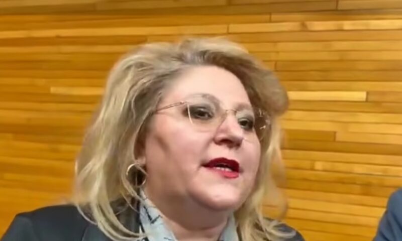 Moțiunea de cenzură, în așteptarea voturilor S.O.S. Miza deciziei Dianei Șoșoacă