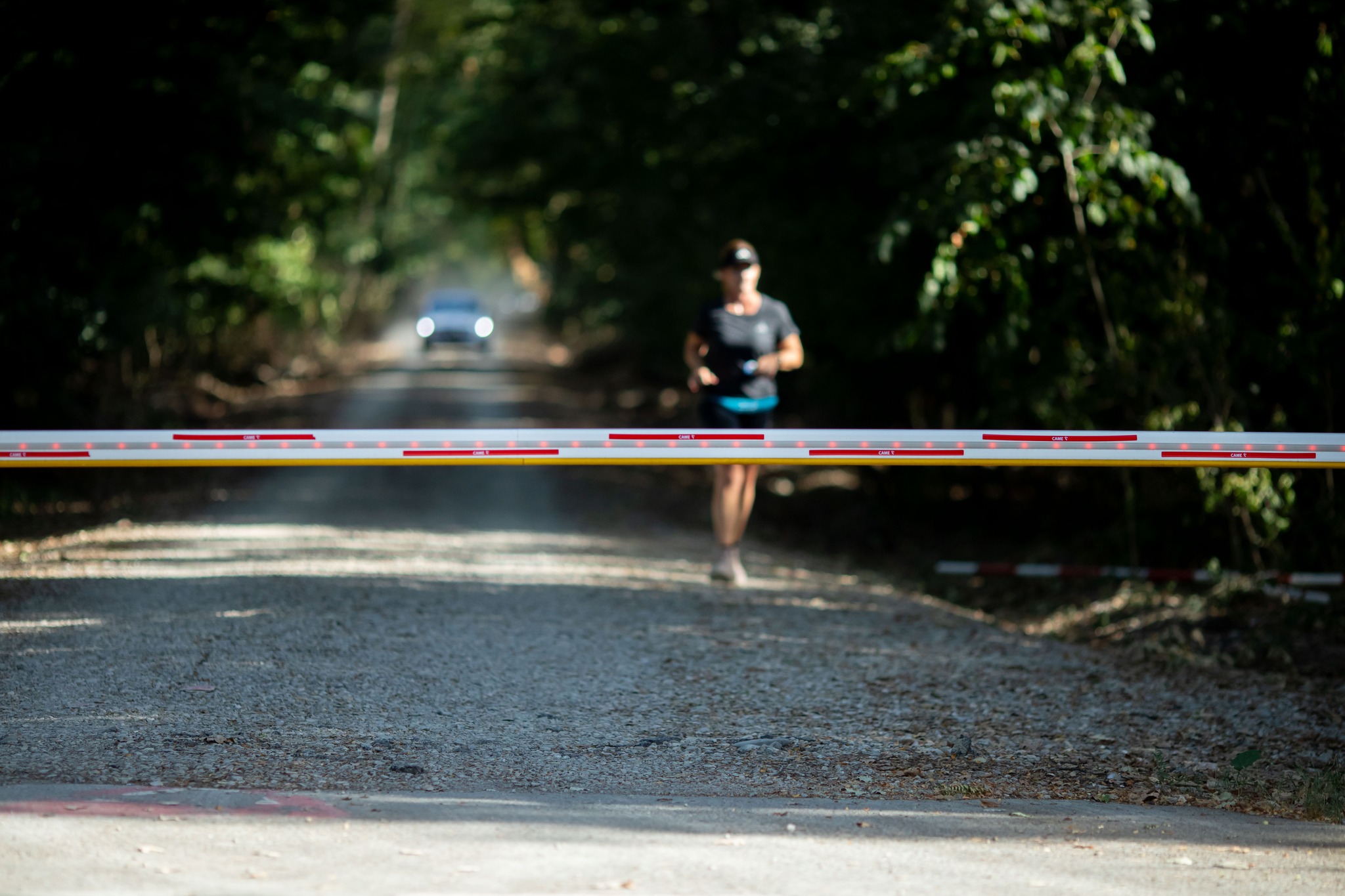 Romsilva închide accesul auto prin pădurea Băneasa. Drumul forestier nu mai poate fi folosit de șoferi