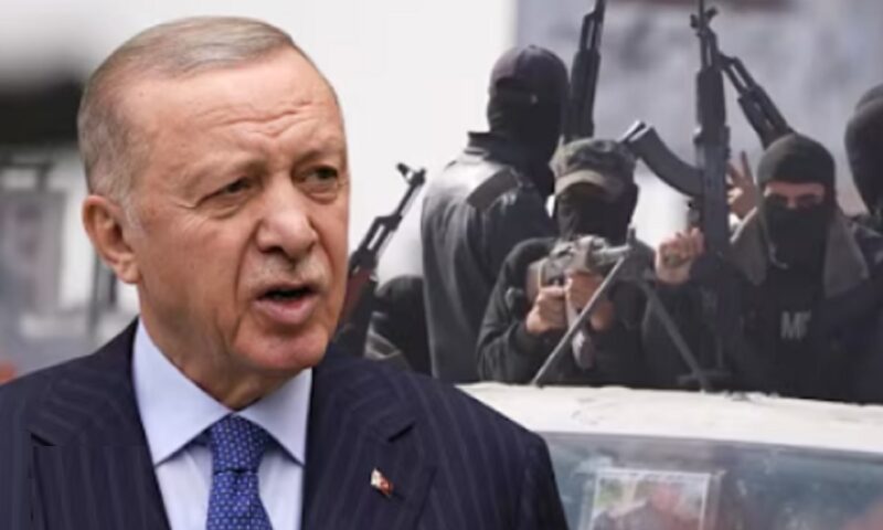 Recep Tayyip Erdogan vrea extinderea pactului de apărare de la Mecca. Ce rol ar putea juca Egiptul în alianța militară
