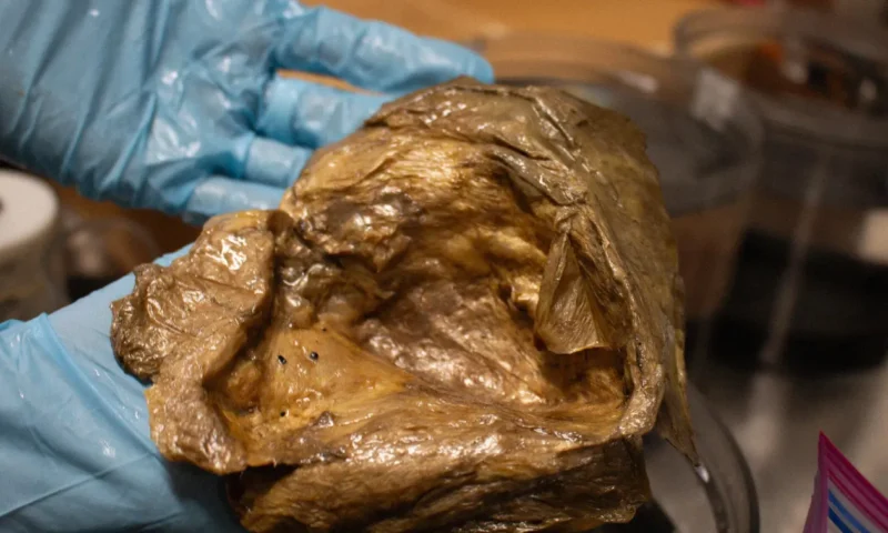 Cercetătorii au deslușit misterul de pe fundul oceanului. Ce era globul auriu asemănător unei relicve extraterestre