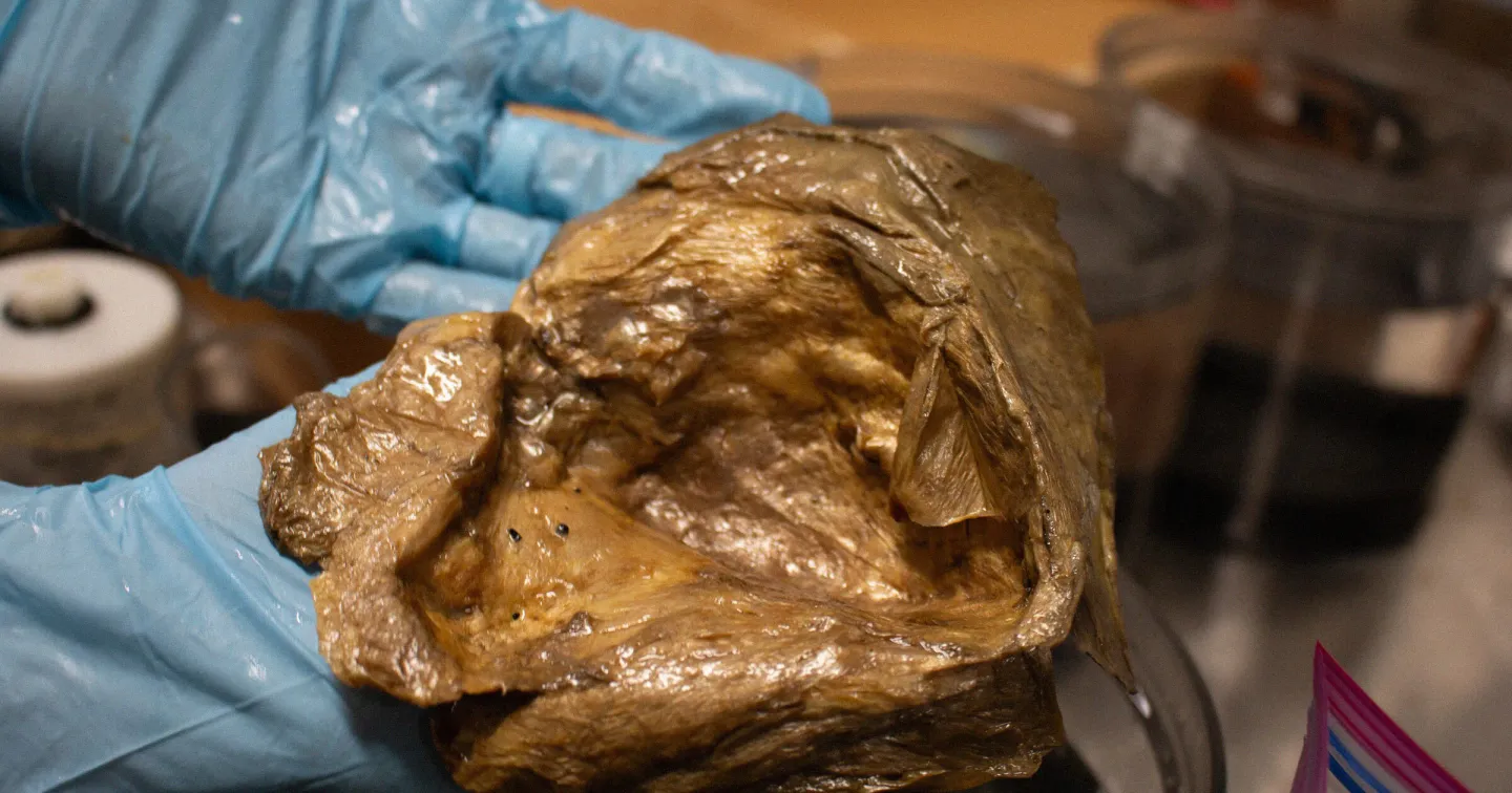 Cercetătorii au deslușit misterul de pe fundul oceanului. Ce era globul auriu asemănător unei relicve extraterestre