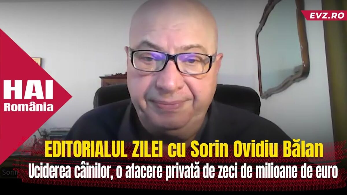 Uciderea câinilor, o afacere privată de zeci de milioane de euro pe banii statului