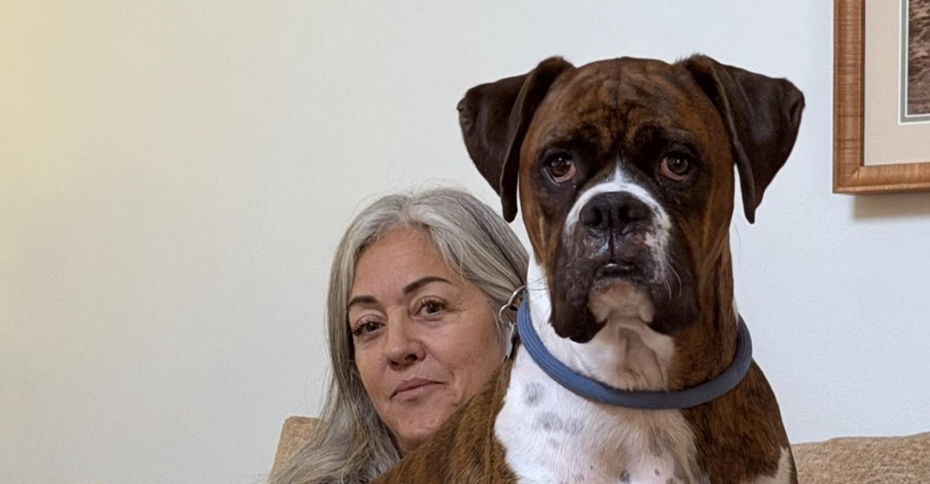 Fraudele la vot în SUA, foarte simplu de făcut. O femeie din California și-a înregistrat câinele pentru a vota