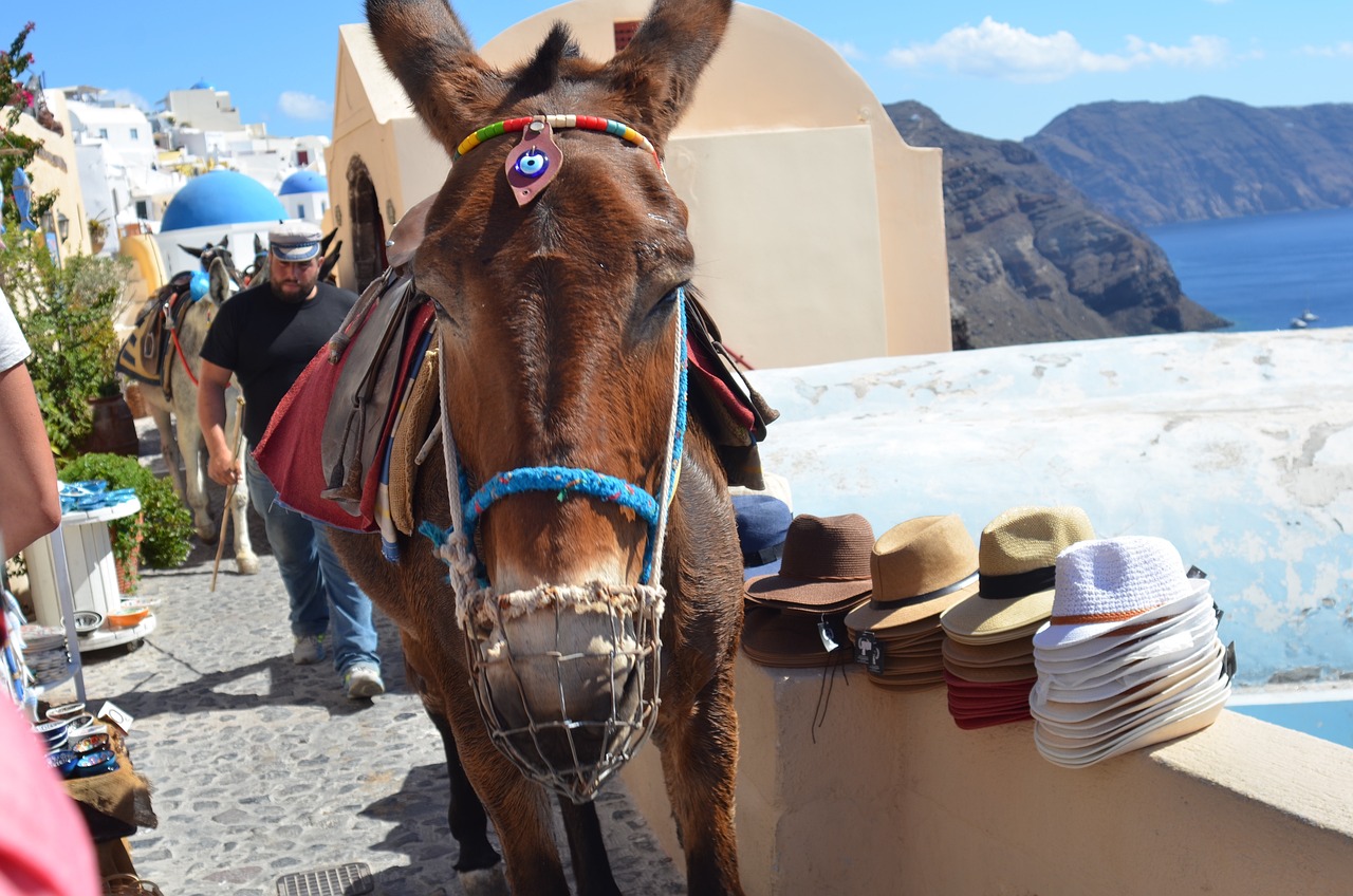 Măgăruș Santorini
