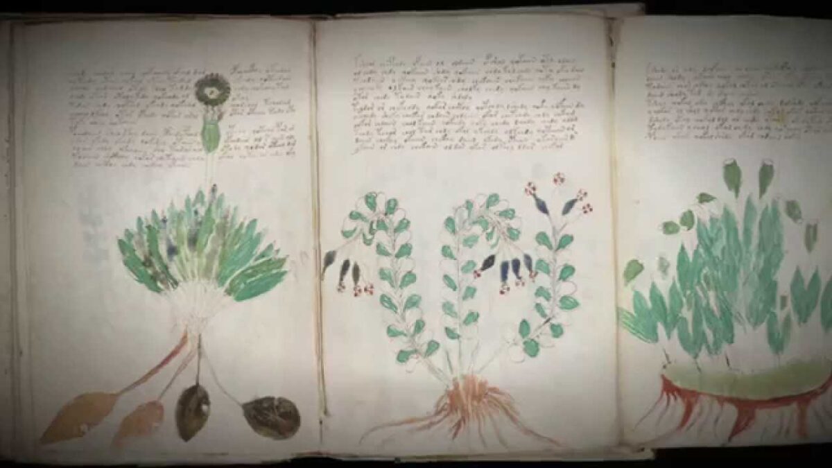 Misterul Manuscrisului Voynich: Cartea pe care nimeni nu o poate citi