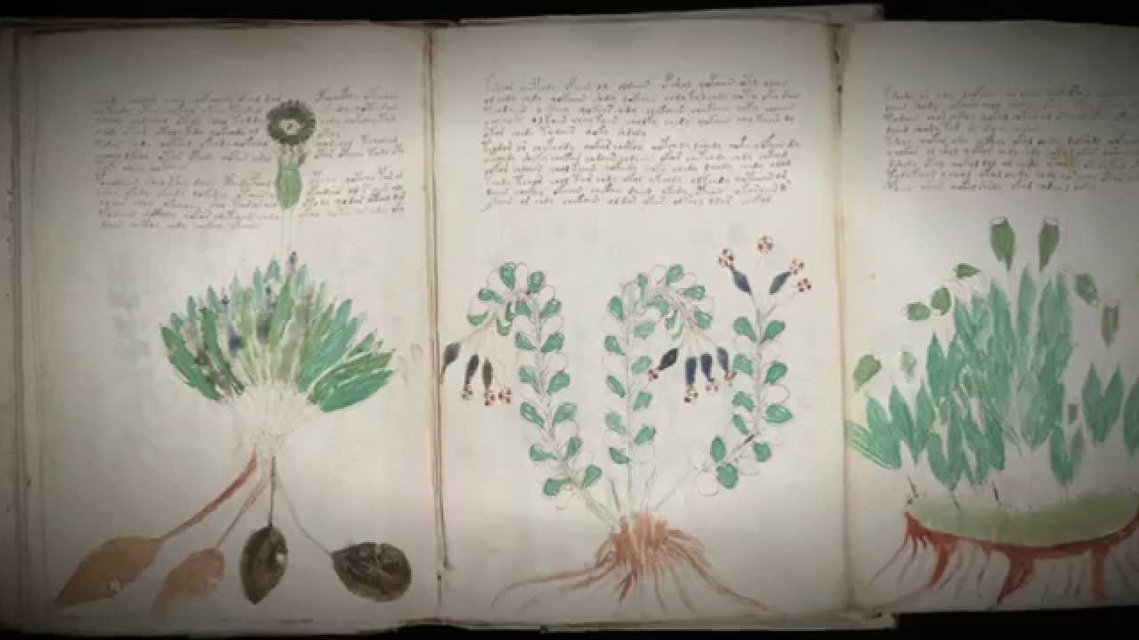 Misterul Manuscrisului Voynich: Cartea pe care nimeni nu o poate citi
