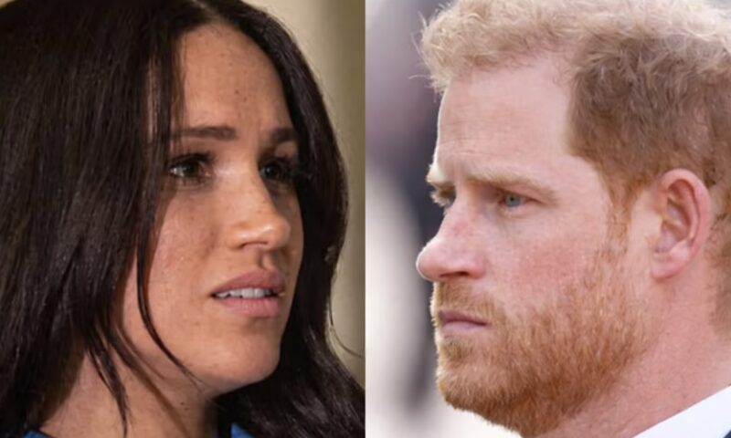 Ducii de Sussex nu suportă adevărul. Când sunt criticați, atacă fără milă