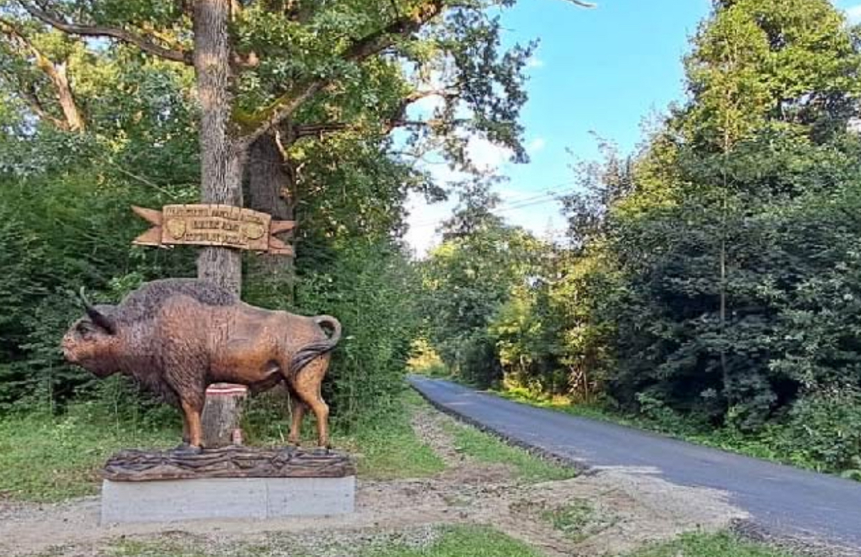 Parcul Natural Neamț