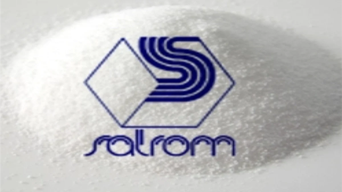 Marile interese din spatele SALROM. Dezvăluirile unui fost director și miza uriașă a vânzării acțiunilor