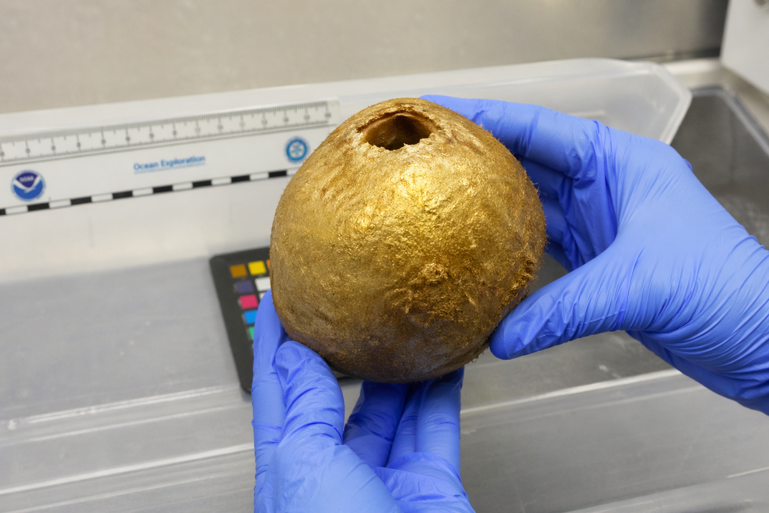 Misterul sferei aurii din adâncuri a fost rezolvat de oamenii de știință