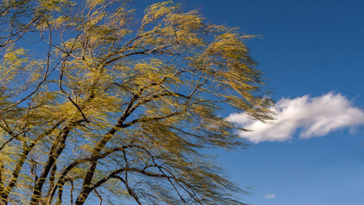 Cod galben de vânt în toată Republica Moldova. Rafale puternice și ploi de scurtă durată pe 23 aprilie