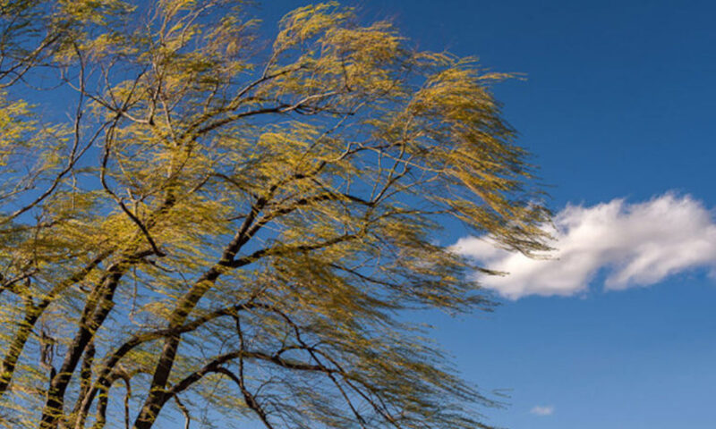 Cod galben de vânt în toată Republica Moldova. Rafale puternice și ploi de scurtă durată pe 23 aprilie