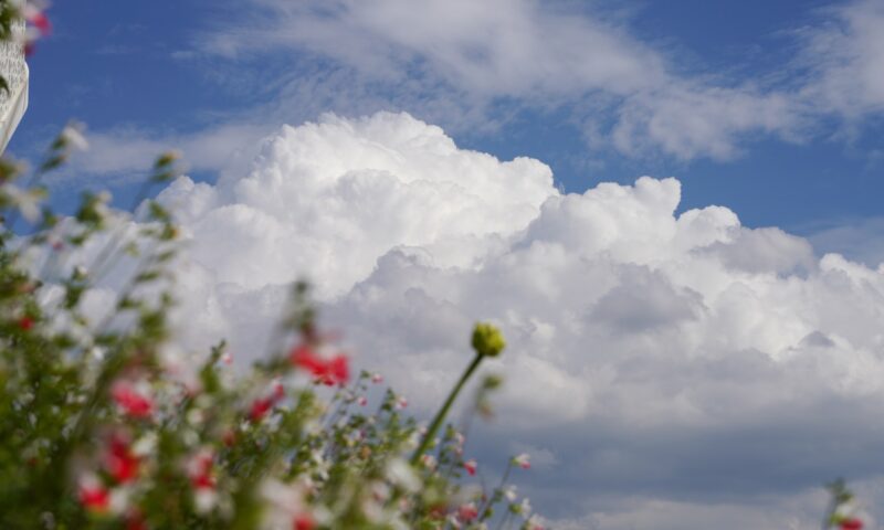 Prognoza meteo actualizată pentru 1 Mai. Schimbări de ultim moment