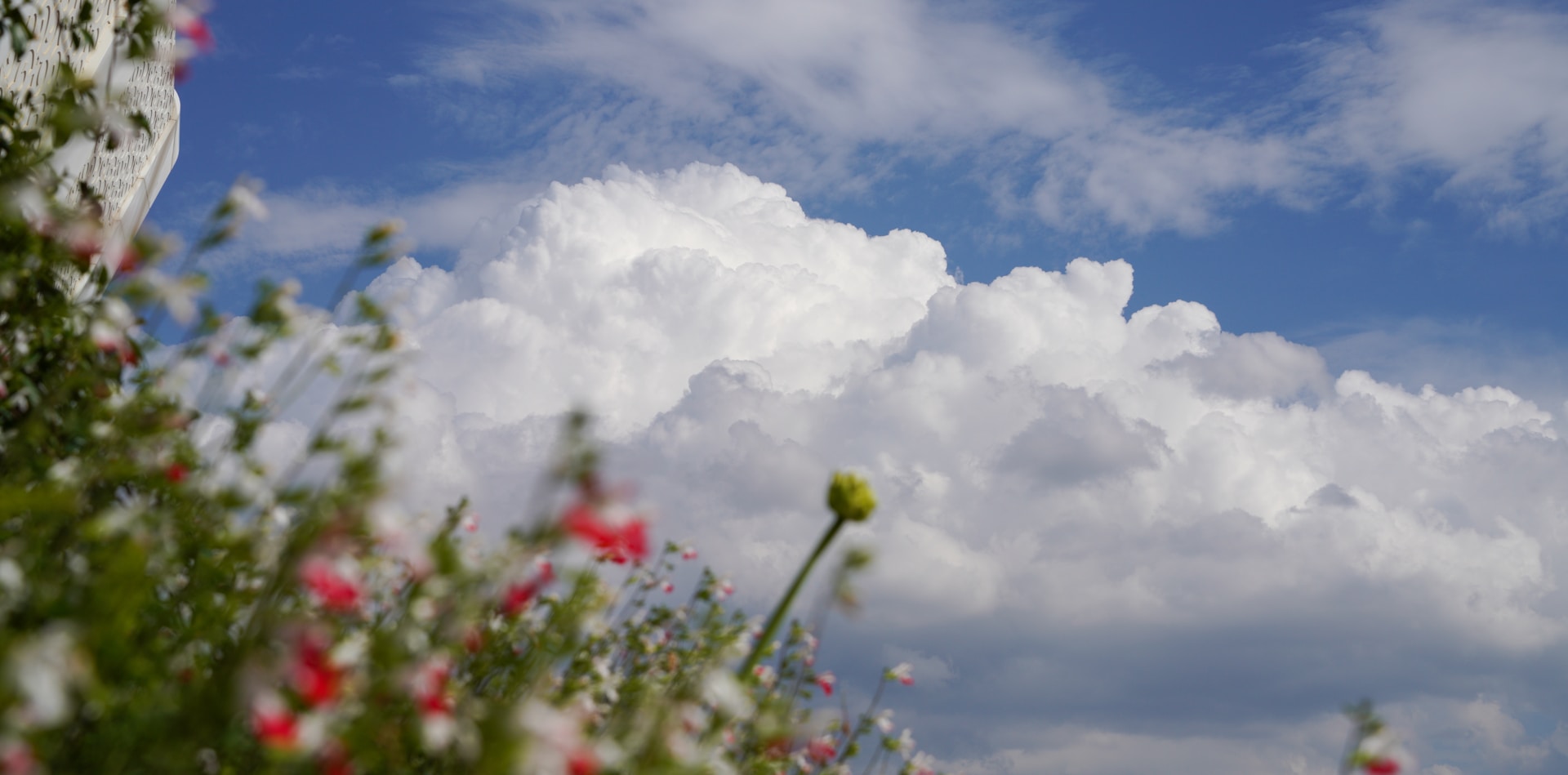 Prognoza meteo actualizată pentru 1 Mai. Schimbări de ultim moment