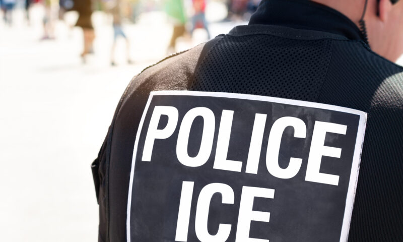 Ordinul instanței a ținut doar două zile. ICE a reținut din nou familia egipteană