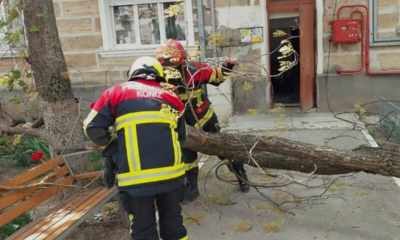 Vântul puternic a făcut prăpăd în țară. Zeci de arbori căzuți și peste 130 de localități rămase fără curent electric