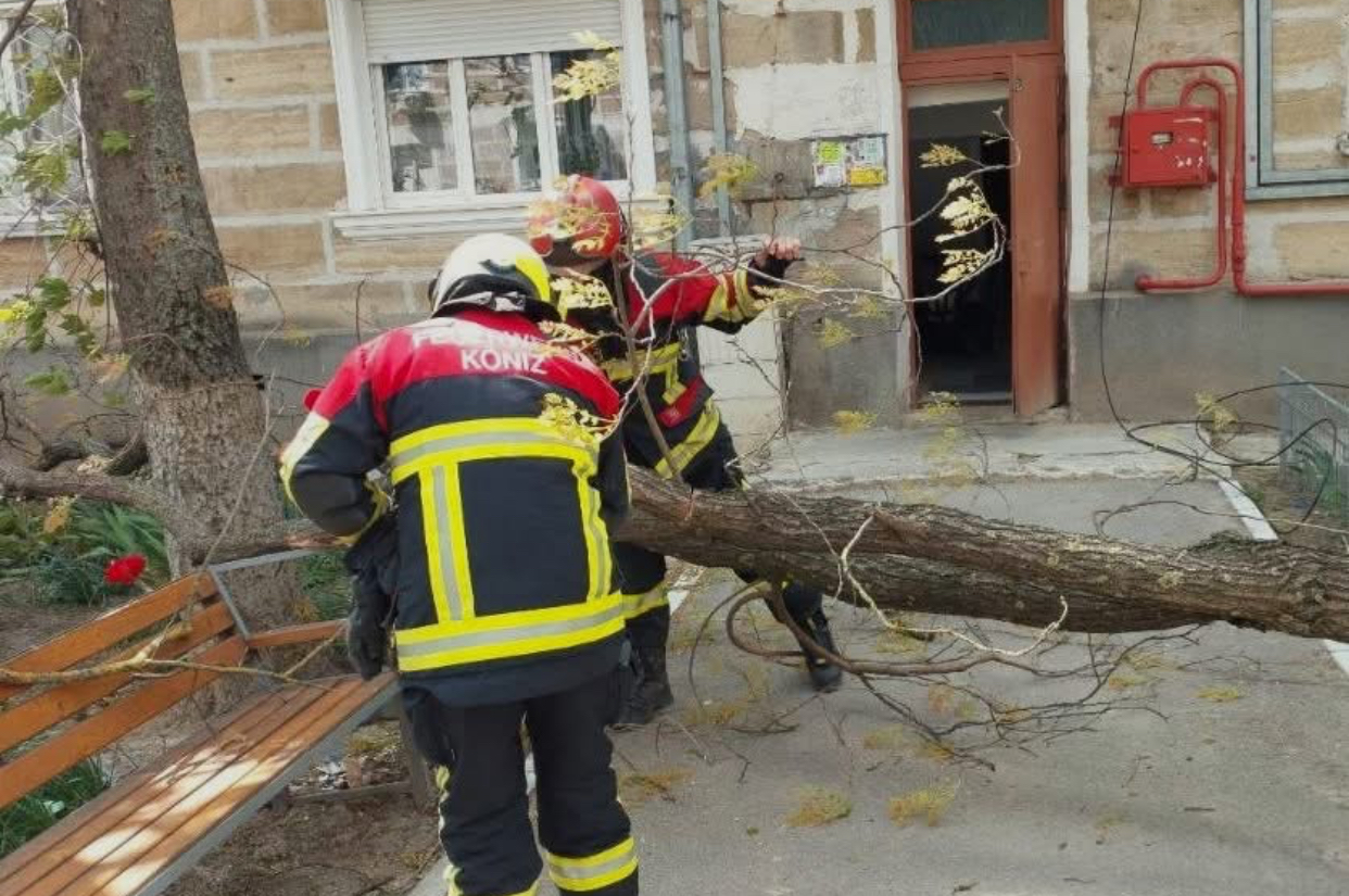 Vântul puternic a făcut prăpăd în țară. Zeci de arbori căzuți și peste 130 de localități rămase fără curent electric