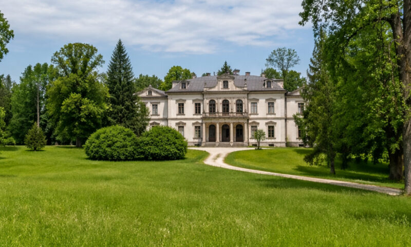 Conacele boierești din România, bijuterii arhitecturale greu de vândut. Cât costă o astfel de proprietate și ce implică investiția