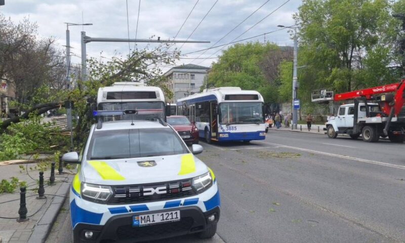 Vântul puternic a făcut pagube în Chișinău. Un copac a căzut peste un troleibuz, iar altul era la un pas să strivească o mamă cu copil